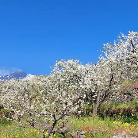 Bed & Breakfast Dimora Dell' Etna Luxe 2*