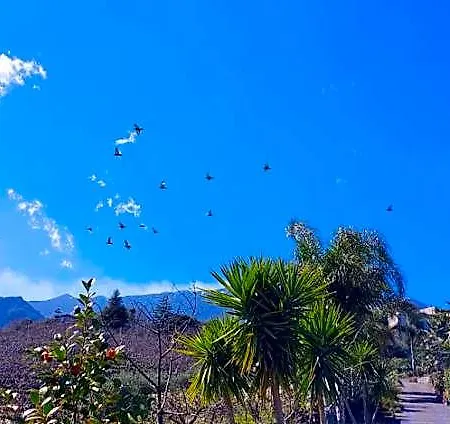 Dimora Dell' Etna 4*