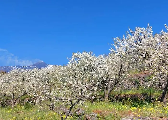Bed & Breakfast Dimora Dell' Etna 4*