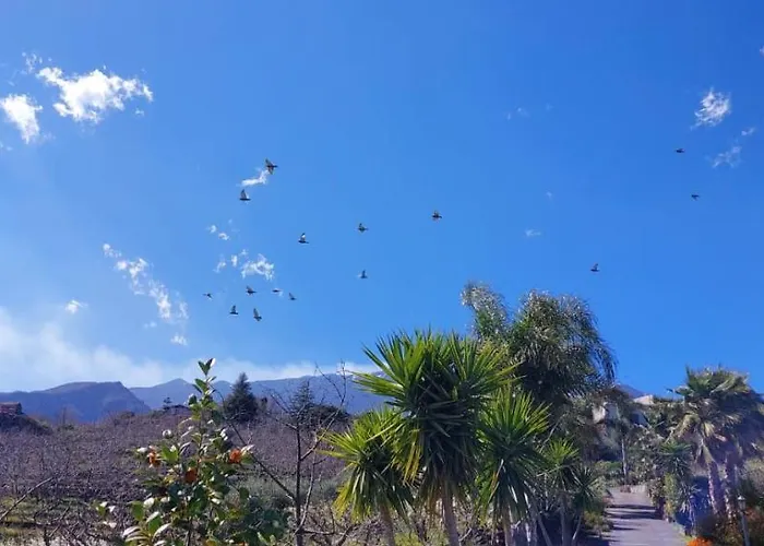 Dimora Dell' Etna Bed & Breakfast